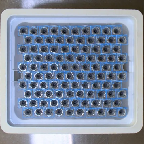 Syringes-quality-assurance-counting-batch-release